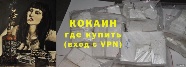 стаф Аркадак