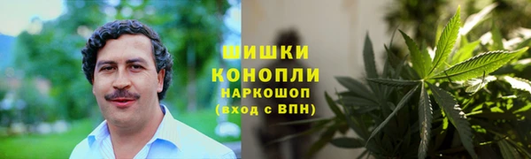 стаф Аркадак