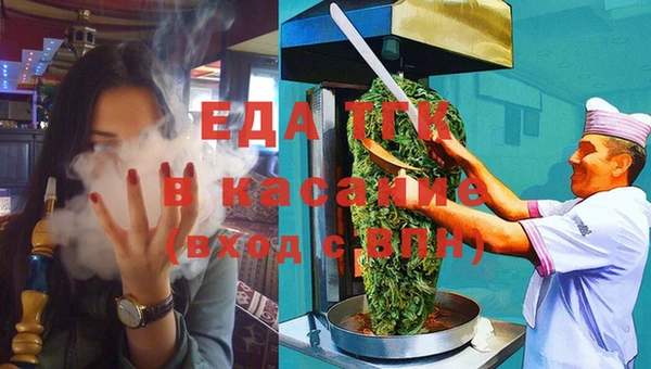 стаф Аркадак