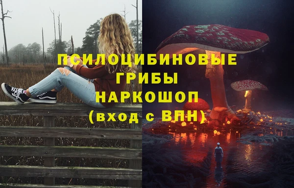 jwh Арсеньев