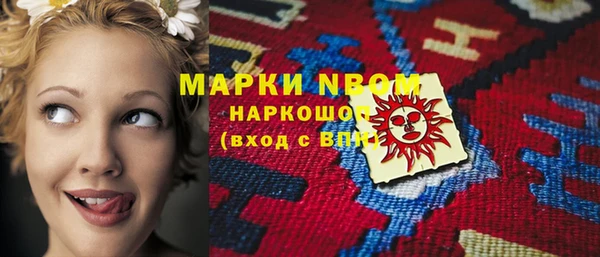 стаф Аркадак