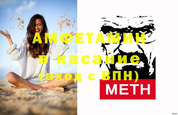 стаф Аркадак