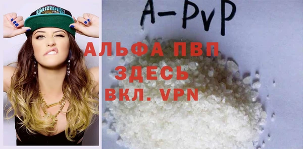стаф Аркадак