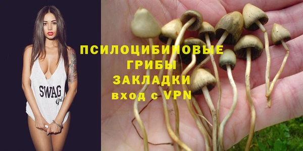 стаф Аркадак
