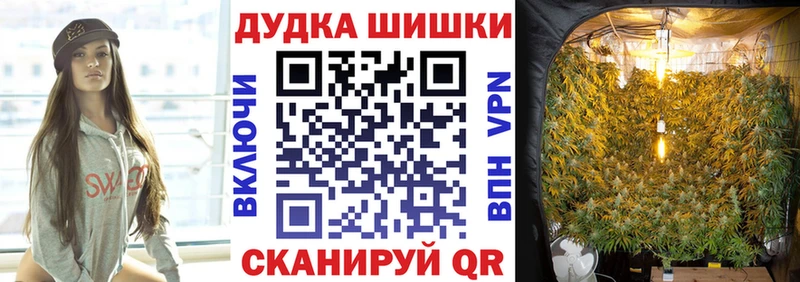 Бошки Шишки гибрид  ссылка на мегу онион  Ленинск-Кузнецкий  дарнет шоп 